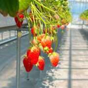 ヒメ日記 2025/05/29 14:38 投稿 こはく スピード難波店