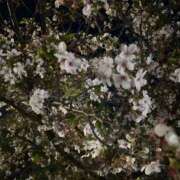 こはく こはく（スピード難波店） スピード難波店