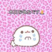 ヒメ日記 2025/04/17 18:43 投稿 あい さくらん