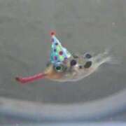 ヒメ日記 2025/04/16 13:57 投稿 まこ お客様満足度NO.1デリヘル！ 秘密倶楽部 凛 千葉