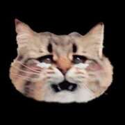 ヒメ日記 2025/05/08 21:45 投稿 まこ お客様満足度NO.1デリヘル！ 秘密倶楽部 凛 千葉