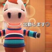 ヒメ日記 2025/06/27 12:11 投稿 まこ お客様満足度NO.1デリヘル！ 秘密倶楽部 凛 千葉