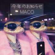 ヒメ日記 2025/12/29 03:28 投稿 まこ お客様満足度NO.1デリヘル！ 秘密倶楽部 凛 千葉