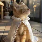 ヒメ日記 2026/02/22 21:31 投稿 まこ お客様満足度NO.1デリヘル！ 秘密倶楽部 凛 千葉