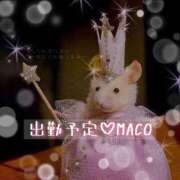 ヒメ日記 2026/03/21 07:45 投稿 まこ お客様満足度NO.1デリヘル！ 秘密倶楽部 凛 千葉