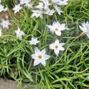 ヒメ日記 2026/04/12 12:33 投稿 まこ お客様満足度NO.1デリヘル！ 秘密倶楽部 凛 千葉