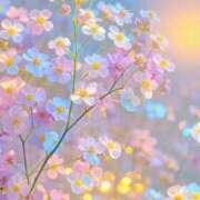 ヒメ日記 2026/04/17 15:45 投稿 まこ お客様満足度NO.1デリヘル！ 秘密倶楽部 凛 千葉