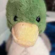 ヒメ日記 2025/06/07 10:03 投稿 進撃えれん CLUB39（クラブサンキュー）