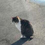 ヒメ日記 2025/06/09 12:03 投稿 進撃えれん CLUB39（クラブサンキュー）