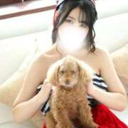 ヒメ日記 2025/11/06 16:12 投稿 進撃えれん CLUB39（クラブサンキュー）