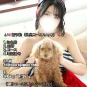 ヒメ日記 2025/11/11 15:22 投稿 進撃えれん CLUB39（クラブサンキュー）