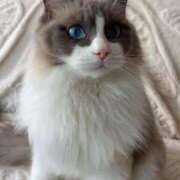 ヒメ日記 2026/04/06 13:42 投稿 進撃えれん CLUB39（クラブサンキュー）