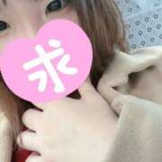 ヒメ日記 2025/04/06 13:01 投稿 せいら 美女のカタチ