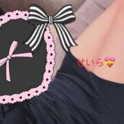 ヒメ日記 2025/04/06 22:39 投稿 せいら 美女のカタチ