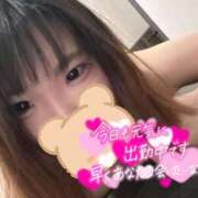 ヒメ日記 2025/04/12 12:03 投稿 せいら 美女のカタチ