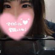 ヒメ日記 2025/04/12 12:30 投稿 せいら 美女のカタチ