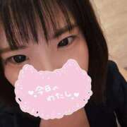 ヒメ日記 2025/04/12 13:16 投稿 せいら 美女のカタチ