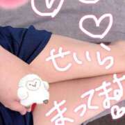 ヒメ日記 2025/04/12 18:13 投稿 せいら 美女のカタチ