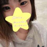 ヒメ日記 2025/04/13 08:32 投稿 せいら 美女のカタチ