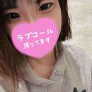 ヒメ日記 2025/04/13 08:36 投稿 せいら 美女のカタチ