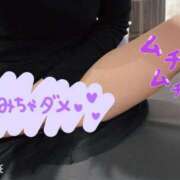 ヒメ日記 2025/04/16 08:12 投稿 せいら 美女のカタチ