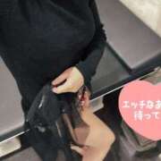 ヒメ日記 2025/04/16 08:34 投稿 せいら 美女のカタチ