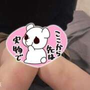 ヒメ日記 2025/04/17 12:46 投稿 せいら 美女のカタチ