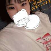 ヒメ日記 2025/04/21 19:49 投稿 せいら 美女のカタチ