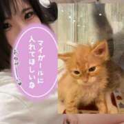 ヒメ日記 2025/05/10 14:16 投稿 せいら 美女のカタチ