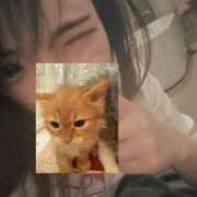 ヒメ日記 2025/05/13 05:46 投稿 せいら 美女のカタチ