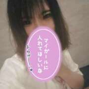 ヒメ日記 2025/05/26 14:36 投稿 せいら 美女のカタチ