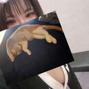 ヒメ日記 2025/06/29 19:56 投稿 せいら 美女のカタチ