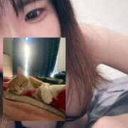 ヒメ日記 2025/07/06 16:30 投稿 せいら 美女のカタチ