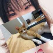 ヒメ日記 2025/07/12 16:16 投稿 せいら 美女のカタチ