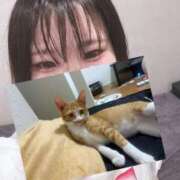 ヒメ日記 2025/07/13 18:56 投稿 せいら 美女のカタチ