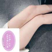 ヒメ日記 2025/07/31 15:16 投稿 せいら 美女のカタチ