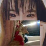 ヒメ日記 2025/08/01 15:16 投稿 せいら 美女のカタチ