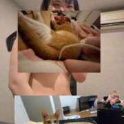 ヒメ日記 2025/08/02 15:46 投稿 せいら 美女のカタチ