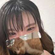 ヒメ日記 2025/08/21 15:36 投稿 せいら 美女のカタチ