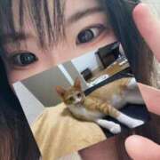 ヒメ日記 2025/08/21 17:46 投稿 せいら 美女のカタチ