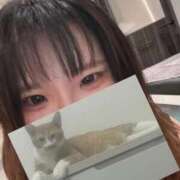 ヒメ日記 2025/08/23 15:16 投稿 せいら 美女のカタチ