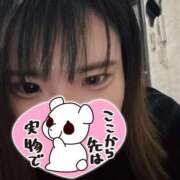 ヒメ日記 2025/11/03 12:32 投稿 せいら 美女のカタチ