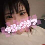 ヒメ日記 2025/11/26 14:47 投稿 せいら 美女のカタチ