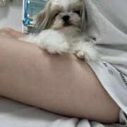 ヒメ日記 2025/04/10 21:12 投稿 ★柊れん★ CLUB39（クラブサンキュー）