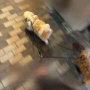 ヒメ日記 2025/05/09 19:22 投稿 ★柊れん★ CLUB39（クラブサンキュー）