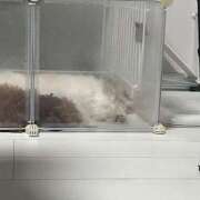 ヒメ日記 2025/06/23 15:02 投稿 ★柊れん★ CLUB39（クラブサンキュー）