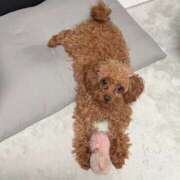 ヒメ日記 2025/07/08 12:03 投稿 ★柊れん★ CLUB39（クラブサンキュー）