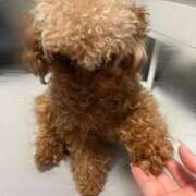 ヒメ日記 2025/08/08 12:22 投稿 ★柊れん★ CLUB39（クラブサンキュー）