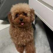 ヒメ日記 2025/08/21 11:52 投稿 ★柊れん★ CLUB39（クラブサンキュー）