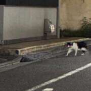 ヒメ日記 2025/09/11 12:03 投稿 ★柊れん★ CLUB39（クラブサンキュー）